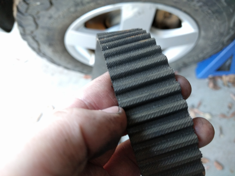 The old timing belt looks brand freaking new
